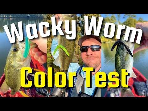 The ULTIMATE Wacky Worm Color Test (15 Different Bait Color Competition for Bass Fishing)