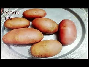 ECONOMICAL HOMEMADE CAT FOOD RECIPE |LOVED BY KITTENS