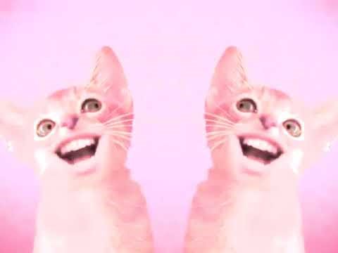 (Hispanic Heritage Month Special!) Preview 2 Numa Cat MIDI Effects Exo^2