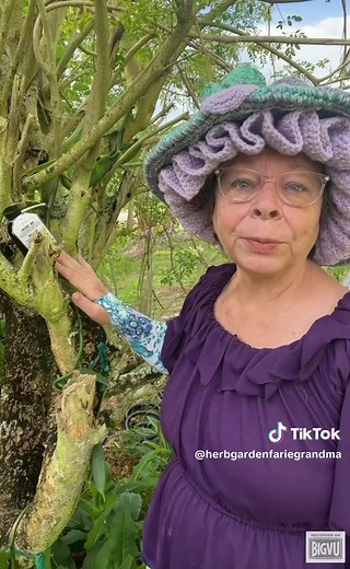 Herb Garden Farie Grandma on TikTok