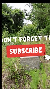 Hollinger Bridge — A Piece of Monroe County’s Old Federal Road Sponsored by RedRoadOutdoors.com Out here on the Old Federal Road, the Hollinger Bridge marker stands as a reminder of the early travelers who carved their way across Monroe County. If you’ve never stopped to take a look, it’s worth slowing down for—this little spot carries a whole lot of Alabama history. #MonroeCountyAL #HollingerBridge #OldFederalRoad #AlabamaHistory #HistoricMarkers #ExploreAlabama #BackRoadsAlabama #SmallTownAlab