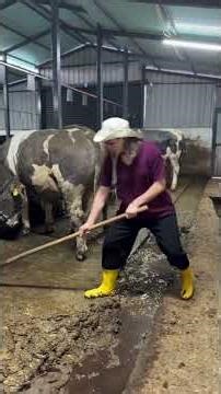 Deep Clean: A Productive Evening on the Dairy Farm | 4K ASMR #dailyvlog #shorts