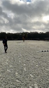 Here’s an example of using a very simple pole exercise to help us focus in our pace and approach ✅ all you need is a singular pole to practice this!! Don’t fall into the waiting vortex, keep riding up to your target! Also remember to practice the correct take off spot for a pole, it might feel long but if it were a jump, it would be perfect- keep watching too see why 👌 #training #horses #germanridinginstructor #rcrequestrian #fyp #showjumping #showjumper #tips #tools #training #explorepage #fol