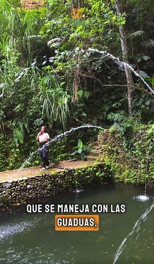 Nature, conservation, and inspiring stories on Ecos del Planeta