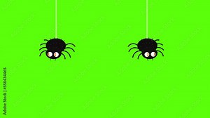 Cartoon spider Hanging down animation video on Green screen background