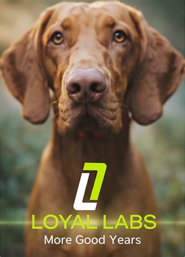 Everyone is talking about longevity. But the conversation is shifting. It’s not just about adding years to our own lives anymore — it’s about giving our pets more good years too. Owners are thinking proactively: • Mobility • Recovery • Calm • Optimization The pet pep space is heating up fast and the education-first brands are leading the charge. That’s why Loyal Labs is becoming one of the most talked-about names in pet longevity. If you’ve been hearing about “more good years” and wondering what