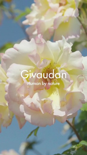 Givaudan. , Human by nature. We develop tastes and scents that delight consumers all over the world. | Givaudan