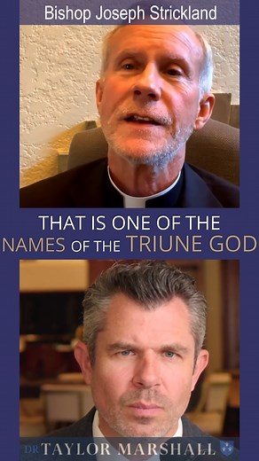 32K views · 1.6K reactions | "The Holy Spirit Doesn't Make U-Turns" Dr Taylor Marshall Podcast with Bishop Joseph Strickland | Dr. Taylor Marshall | Facebook