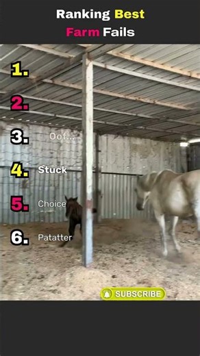 Best Farm Fails #funny #ranked #fails #farming