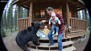 Brave Dad Saves Baby From Bear #heroicdad #bearattempt #dogprotection #cabinlife #scaryencounter | Texasbushman