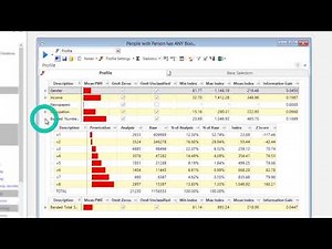 Episode 1 Identify Key Customer Characteristics With FastStats