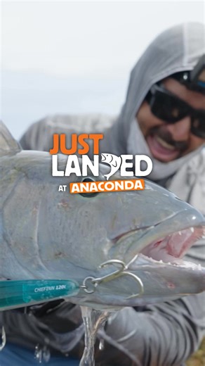 The new Staples series by Malosi offers a comprehensive range of lures including stickies, poppers, and minnows designed to cover every fishing scenario! Shop the range now at Anaconda. | Anaconda Stores