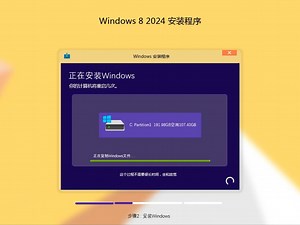 Windows 8.1 2024 安装部分