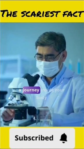 How Alcohol Really Affects Your Body & Brain