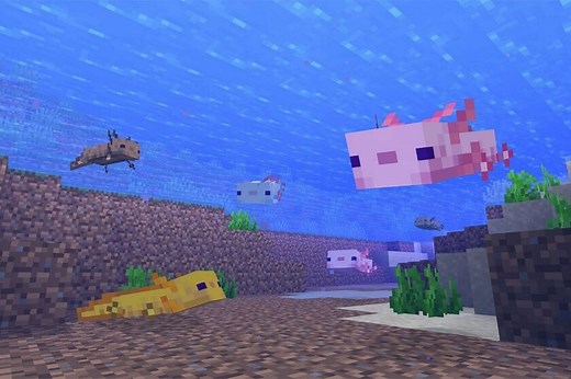 Dónde encontrar ajolotes en Minecraft y cómo capturarlos