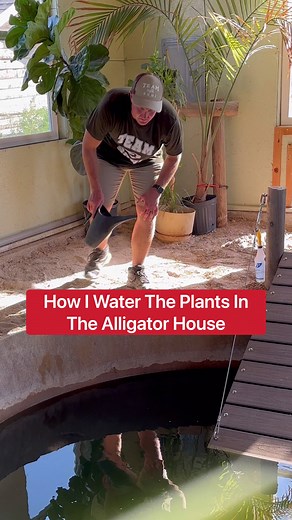 How I Water Plants In The Alligator House! 😱🐊🪴 | Corbin Maxey