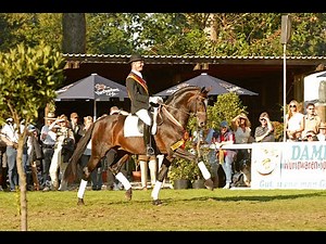 Sir Donnerhall - Stallion Collection Schockemoehle & Helgstrand 2021 ENG