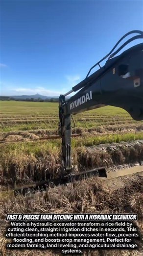 Fast & Precise Farm Ditching with a Hydraulic Excavator #satisfying #Excavator #FarmingTechnology