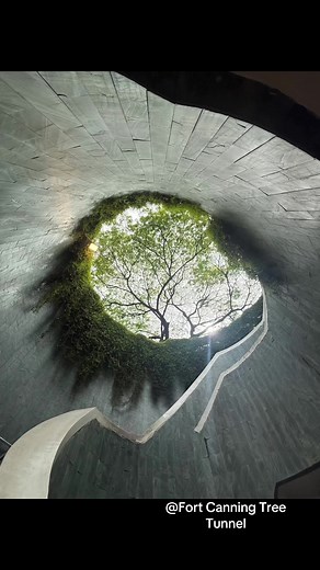 The Fort Canning Tree Tunnel is one of Singapore’s most iconic photo spots, blending nature and architecture in a uniquely enchanting way. Located beneath Fort Canning Hill, the tunnel features a spiral staircase that opens up to a circular frame of towering trees and sky above. Sunlight filtering through the lush canopy creates an ethereal atmosphere, drawing photographers, tourists, and couples alike. The tunnel serves as a serene passageway connecting Dhoby Ghaut to Fort Canning Park, making