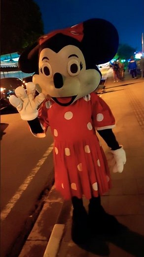 cute mini mouse