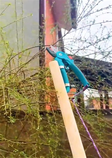 1M views · 1.8K reactions | Specific Skills & Techniques | Decora Tips | Facebook