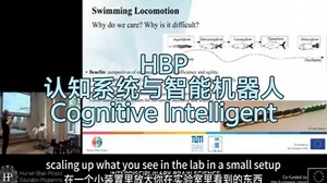HBP《认知系统与智能机器人》| Cognitive Systems and Intelligent Robotics