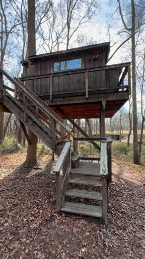 A look into the Miss Molly treehouse @cherrytreesort | Cherry Treesort