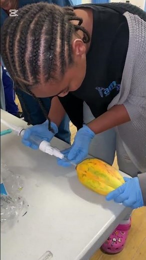 Papaya as a Uterus? MVA Made Easy!