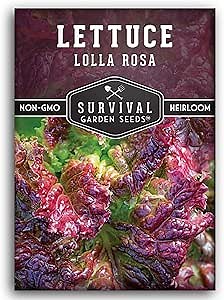 Lolla Rossa Lettuce Seeds for Planting - Red Leaf Lettuce Seeds for Garden Growing, Heat Tolerant Cut-and-Come-Again Heirloom Non-GMO Variety - Survival Garden Seeds (1 Pack)