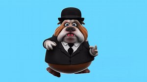 Dance Competition Videos: Download 996+ Free 4K & HD Stock Footage Clips - Pixabay