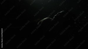 Woman comes out of the dark water