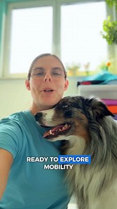 7.5K views · 1.3K reactions | Your dog may be strong - but can they...