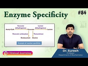 84. Enzyme Specificity