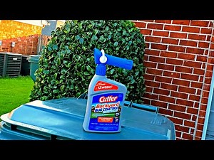 cutter backyard bug control for mosquitoes