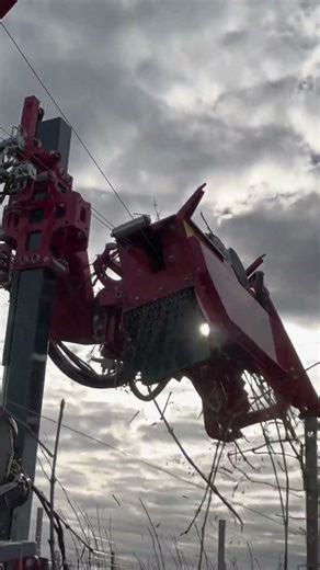 On the VITECO XHD model, the working head is mounted on the XHD lifting mast. #pruning #rebschnitt