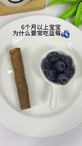 6个月以上宝宝多吃 蓝莓的好处你知道吗？蓝莓富含花青素，一周两次两眼水汪汪，快给娃安排起来吧#小月龄辅食 #宝宝辅食 #育儿经验分享 #宝宝爱吃#秋田满满核桃油