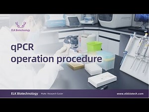 qPCR operation procedure