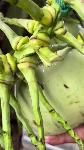 #foryou #foryoupage #tiktokofficialbangladesh #yppppppppppppppppppppppp #trending @TikTok @TikTok Bangladesh