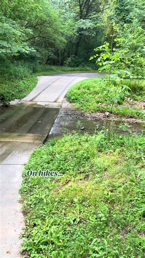 Quick trail decision… what would you do? #H#HikingLifeT#TrailMomentsO#OutdoorChoicesN#NaturePauseAdventureThoughts