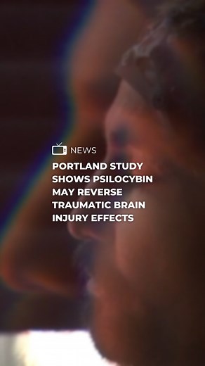 A first-of-its-kind experiment conducted in Portland found that psilocybin can reverse the effects of traumatic brain injuries, according to researchers. Find the full story on the FOX 12 app. | FOX 12 Oregon