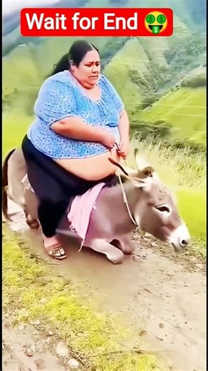Donkey Rider Fail 😂 🤑 #funny #youtubeshorts #viral #shortsfeed #shorts