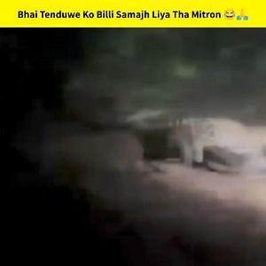 2.9M views · 87K reactions | Tenduwe Ko Uski Aukaât Dikha Di Mitron  . Follow @kashyap_memer #sher #mountaindew #kashyap_memer #funnymemes #comedyvideos #memesdaily #memes #shermemes #memes #memes | Wassepuriya Banda | Facebook