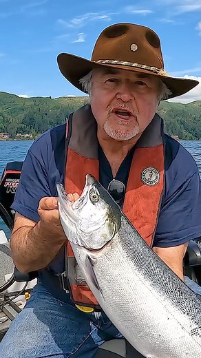 276K views · 2.8K reactions | Buzz Ramsey explains Coho salmon identification. | Salmon Trout Steelheader | Facebook