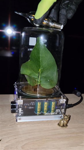 83K views · 129 reactions |  Tesla coil current experiment #leaf #experiment #plant #science | Life Tesla Coil | Facebook