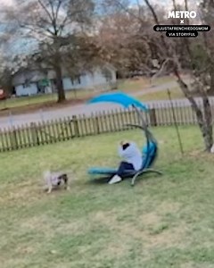 When you buy a swing chair from Temu | Metro
