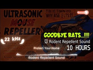 Rodent Repellent Sound 🐭🐀🔊 | 10 Hour Ultrasonic Frequency | Drive Mice & Rats Away - Safety Home