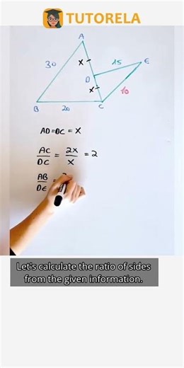 Understanding Triangle Similarity with Bisectors: A Geometry Deep Dive #Math