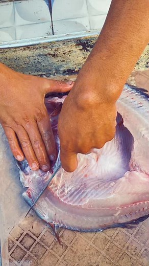 How to Fillet a Fish: Step-by-Step Guide
