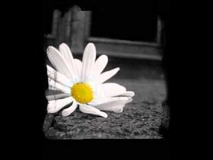 Kamel Messaoudi - Mani Fahem Had Sira (Ana Wenti Yal Messrara)...