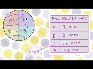 THE AGAR DIFFUSION TEST: For dummies